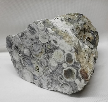 Korallenjaspis